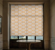 Custom Graphic Roller Shades - Mesh