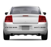 Clear Bumper Stickers