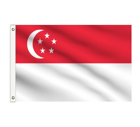 Buy Singapore Flag at best prices Best of Signs