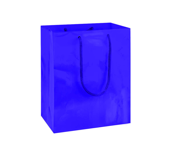 Solid Color Boutique Bags 
