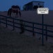 Do Not Feed Horses Thank You Aluminum Sign (EGR Reflective)