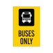 Buses Only Corflute Sign (Non Reflective)