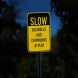 Slow Squirrels & Chipmunks At Play Aluminum Sign (HIP Reflective)