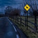 Deer Symbol Road Aluminum Sign (EGR Reflective)