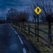 Crossing Sasquatch Aluminum Sign (EGR Reflective)