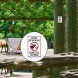Special Dietary Needs Do Not Feed Horse Decal (Non Reflective)