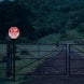 Stop, No Public Access Aluminum Sign (Diamond Reflective)