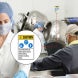 ANSI Face Shield Apron & Rubber Gloves Required Decal (Non Reflective)