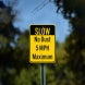 Slow No Dust 5 MPH Maximum Aluminum Sign (Non Reflective)
