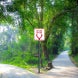 Any Lane Any Time Aluminum Sign (Non Reflective)