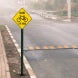 Share The Road Aluminum Sign (Non Reflective)
