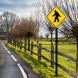 Sasquatch Big Foot Crossing Aluminum Sign (Non Reflective)