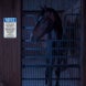 Notice This Is An Equine Facility Aluminum Sign (EGR Reflective)