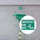 Emergency Eye Wash Decal (Non Reflective)