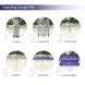 Custom Canopy Tents 10 x 20