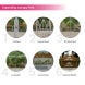 Custom Canopy Tents 10 x 15