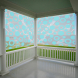 Custom Graphic Roller Shades - Clear