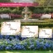 Custom Wedding Signs Choose Your Desired Size