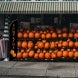 Pre-Printed Pumpkins Feather Flag